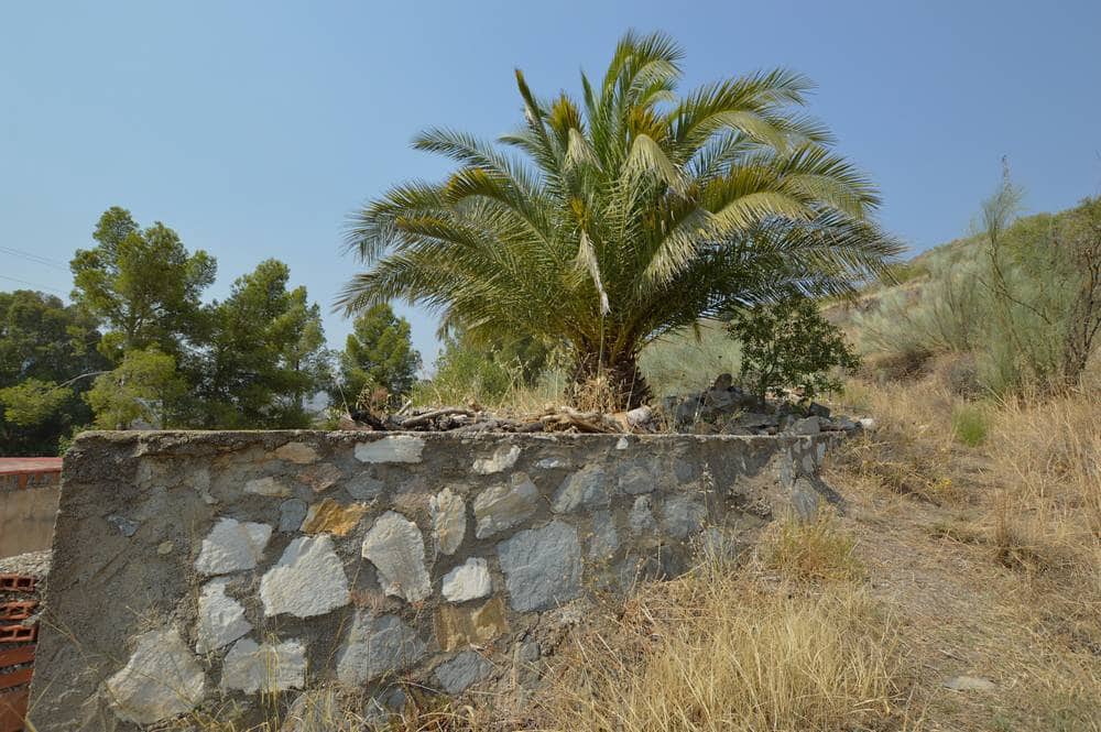 Maalaistalo myytävänä paikassa Lubrin - 150 000 € (Ref: 9206936)