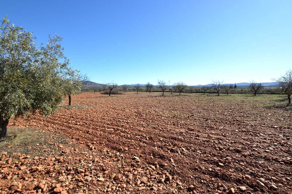 2 Zimmer Finca/Landgut zu verkaufen in Uleila del Campo mit Garage - 224.950 € (Ref: 9506241)