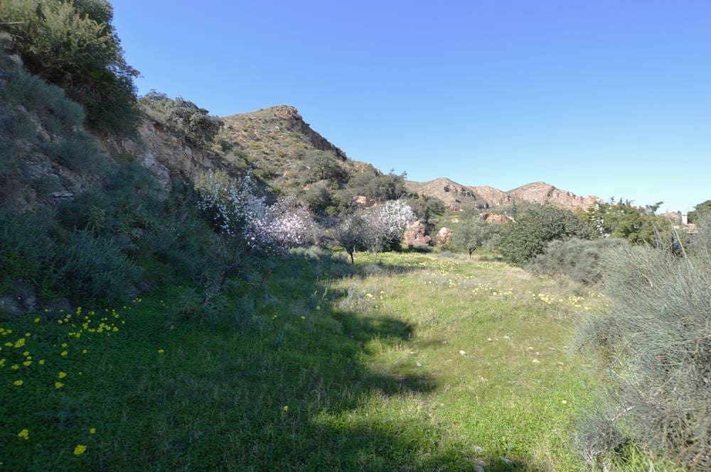 4 slaapkamer Finca/Landhuis te koop in Bedar met garage - € 250.000 (Ref: 9596441)