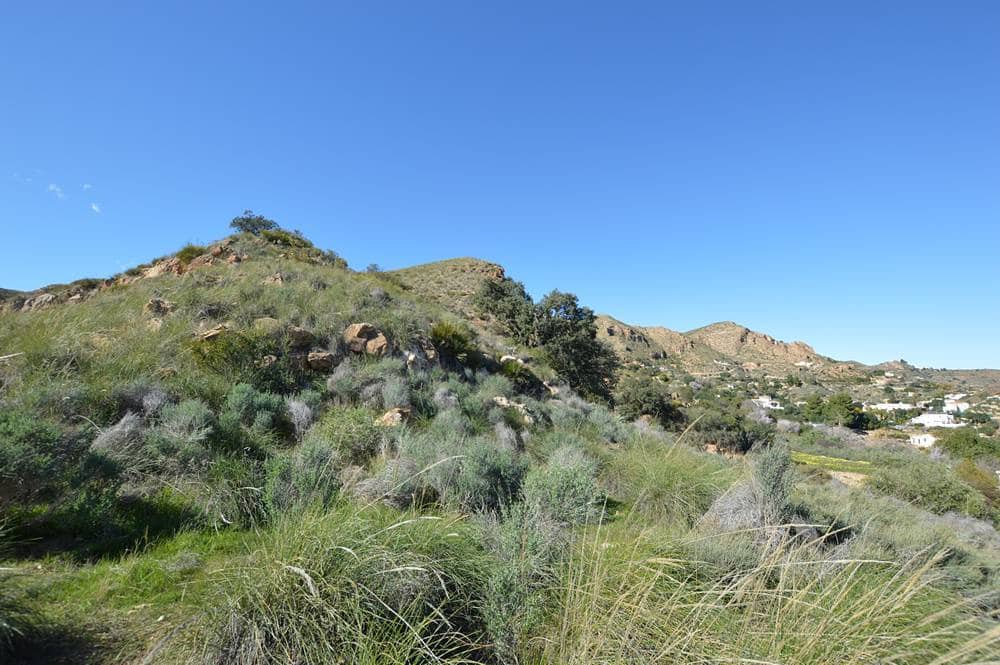 4 slaapkamer Finca/Landhuis te koop in Bedar met garage - € 250.000 (Ref: 9596441)