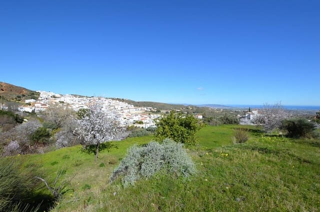 4 slaapkamer Finca/Landhuis te koop in Bédar met garage - € 250.000 (Ref: 9596441)