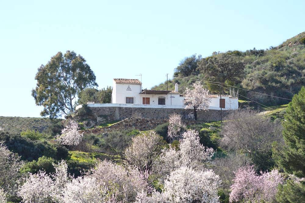 4 slaapkamer Finca/Landhuis te koop in Bedar met garage - € 250.000 (Ref: 9596441)