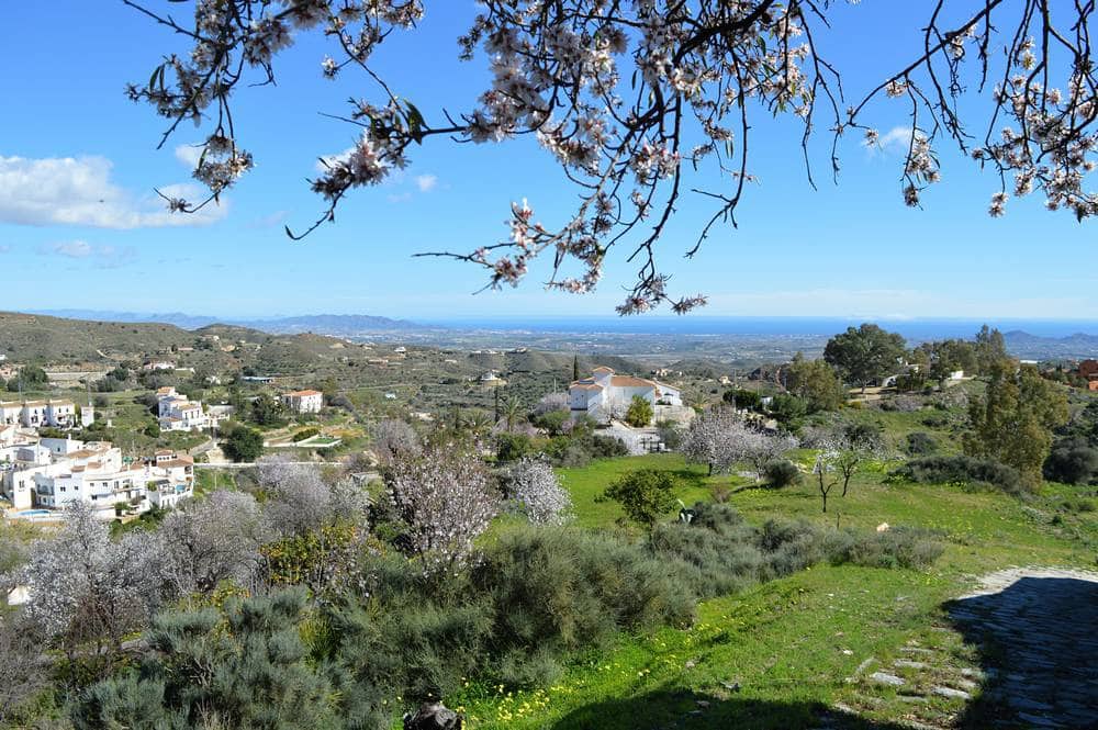 4 slaapkamer Finca/Landhuis te koop in Bedar met garage - € 250.000 (Ref: 9596441)