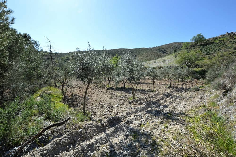 5 chambre Finca/Maison de Campagne à vendre à Lubrin avec garage - 140 000 € (Ref: 9712398)