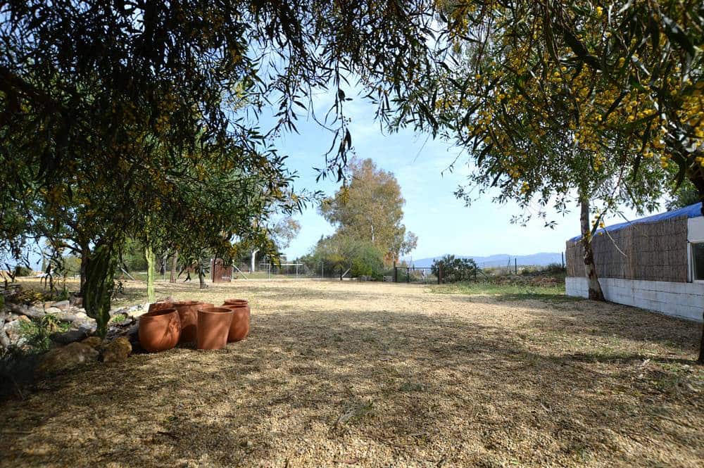 Finca/Casa Rural de 5 habitaciones en Bédar en venta con piscina garaje - 475.000 € (Ref: 9804740)