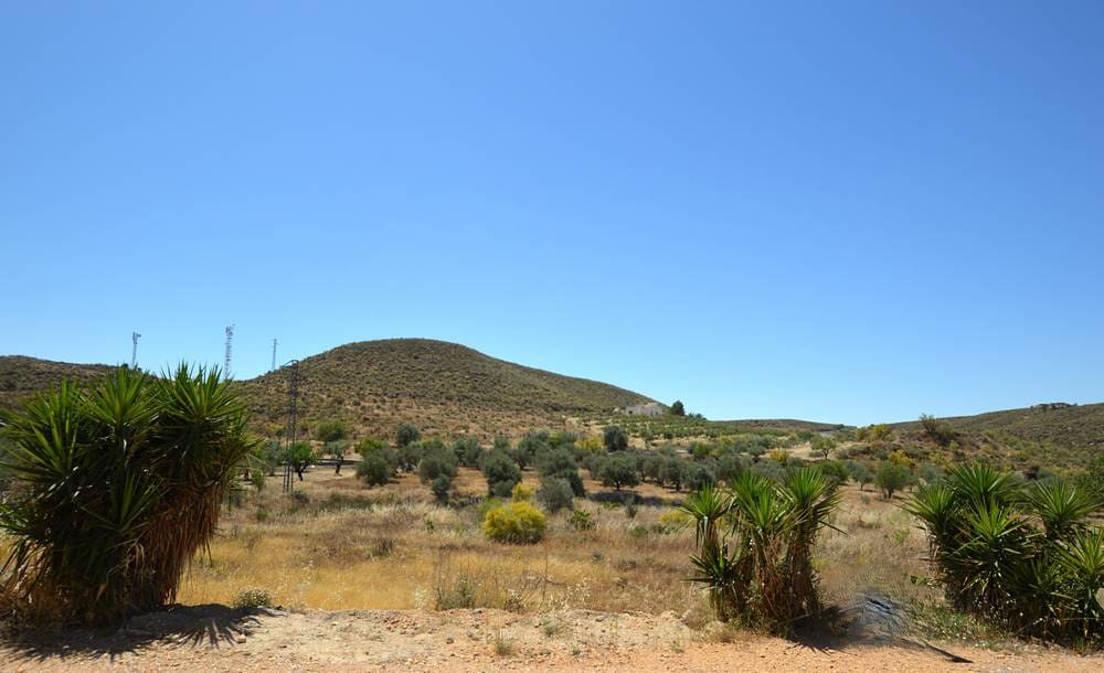 3 bedroom Villa for sale in Sorbas - € 149,950 (Ref: 9889059)