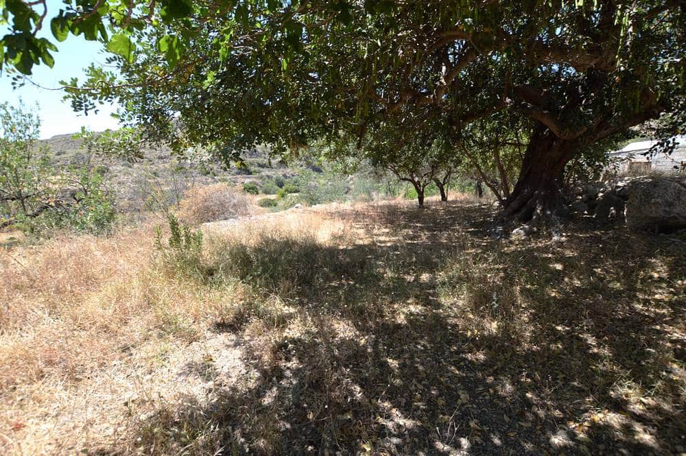 3 sypialnia Dom na sprzedaż w Cariatiz - 114 950 € (Ref: 9900678)