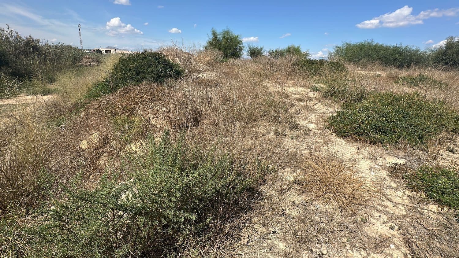 Ubebygd land til salgs i Alicante by - € 79 000 (Ref: 10141495)
