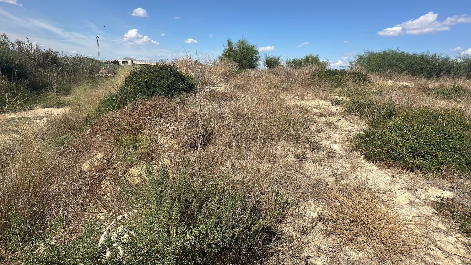 Ubebygd land til salgs i Alicante by - € 79 000 (Ref: 10141495)