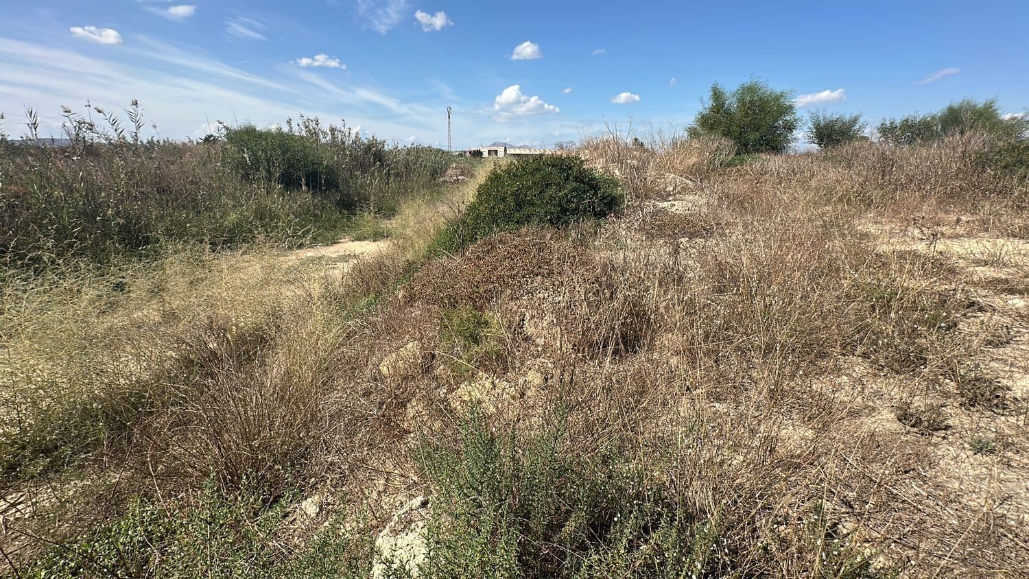 Ubebygd land til salgs i Alicante by - € 79 000 (Ref: 10141495)