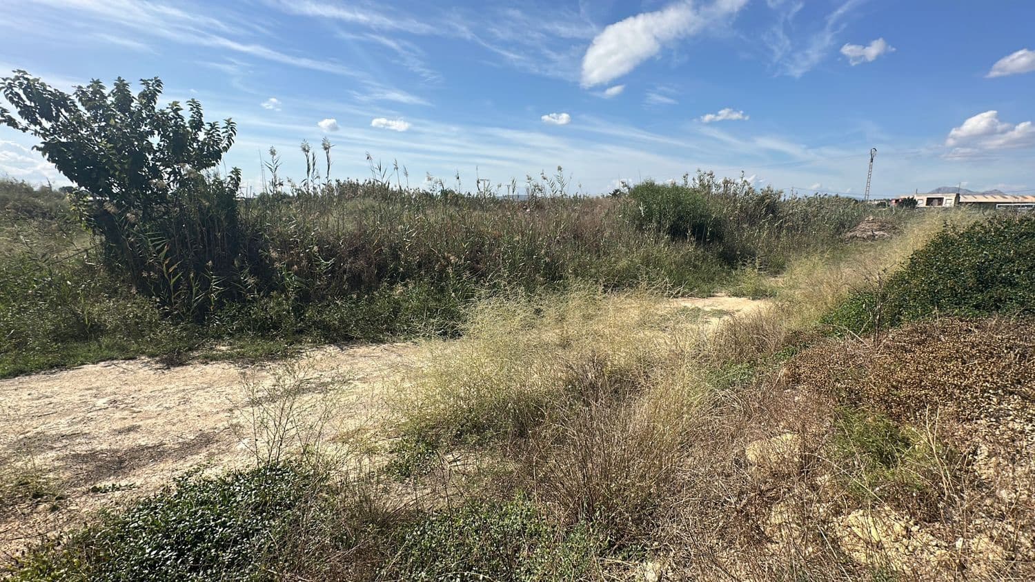 Ubebygd land til salgs i Alicante by - € 79 000 (Ref: 10141495)