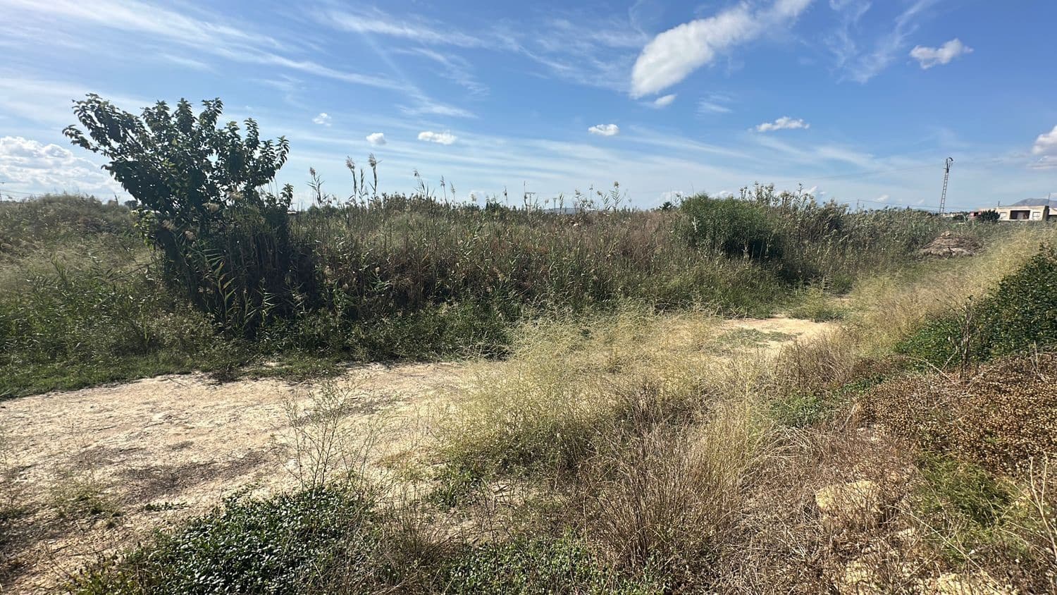 Ubebygd land til salgs i Alicante by - € 79 000 (Ref: 10141495)