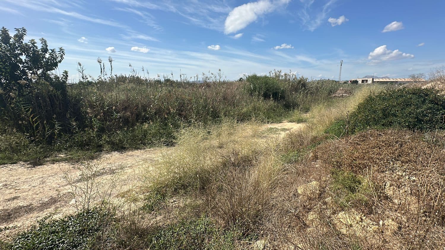 Ubebygd land til salgs i Alicante by - € 79 000 (Ref: 10141495)
