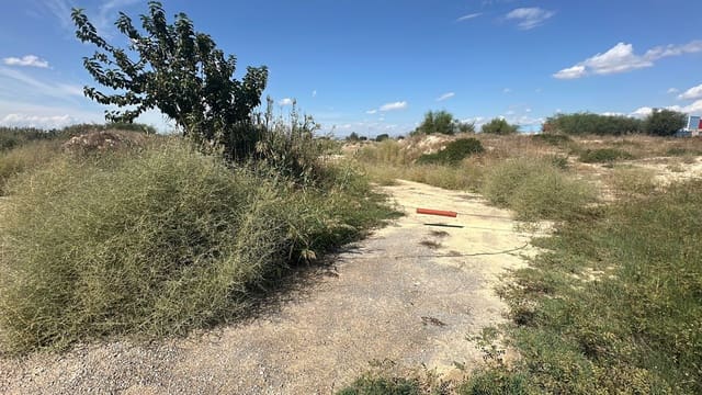Ubebygd land til salgs i Alicante by - € 79 000 (Ref: 10141495)