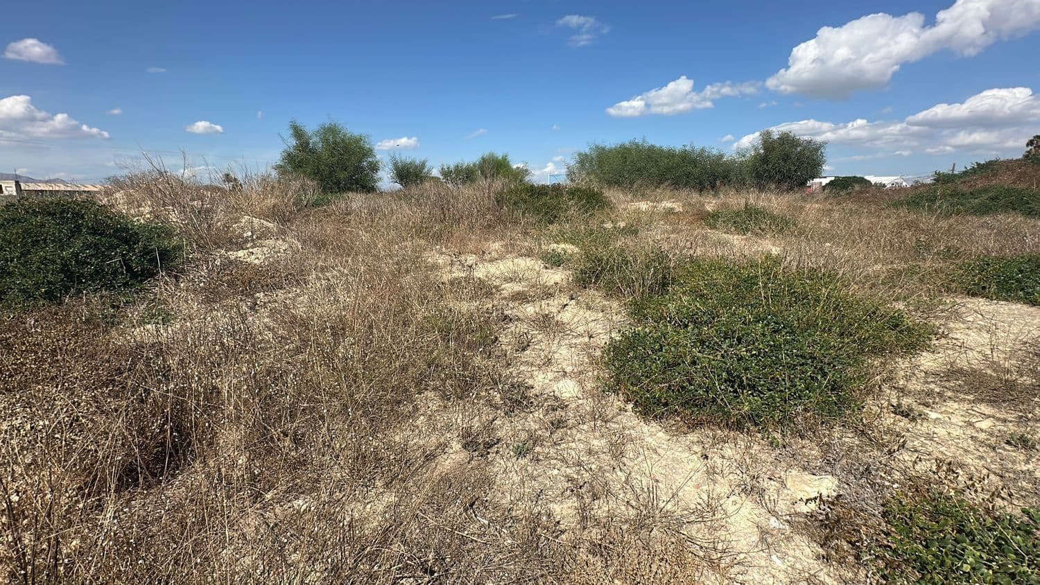 Ubebygd land til salgs i Alicante by - € 79 000 (Ref: 10141495)