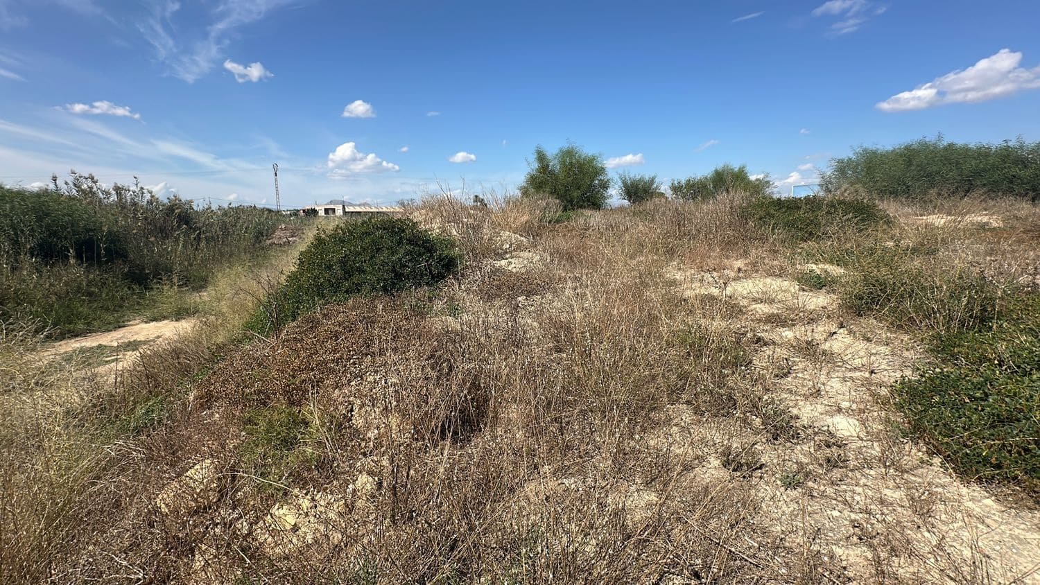 Ubebygd land til salgs i Alicante by - € 79 000 (Ref: 10141495)