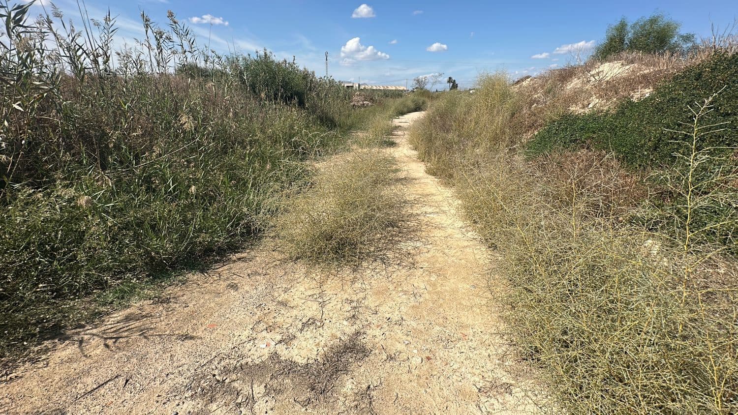 Ubebygd land til salgs i Alicante by - € 79 000 (Ref: 10141495)