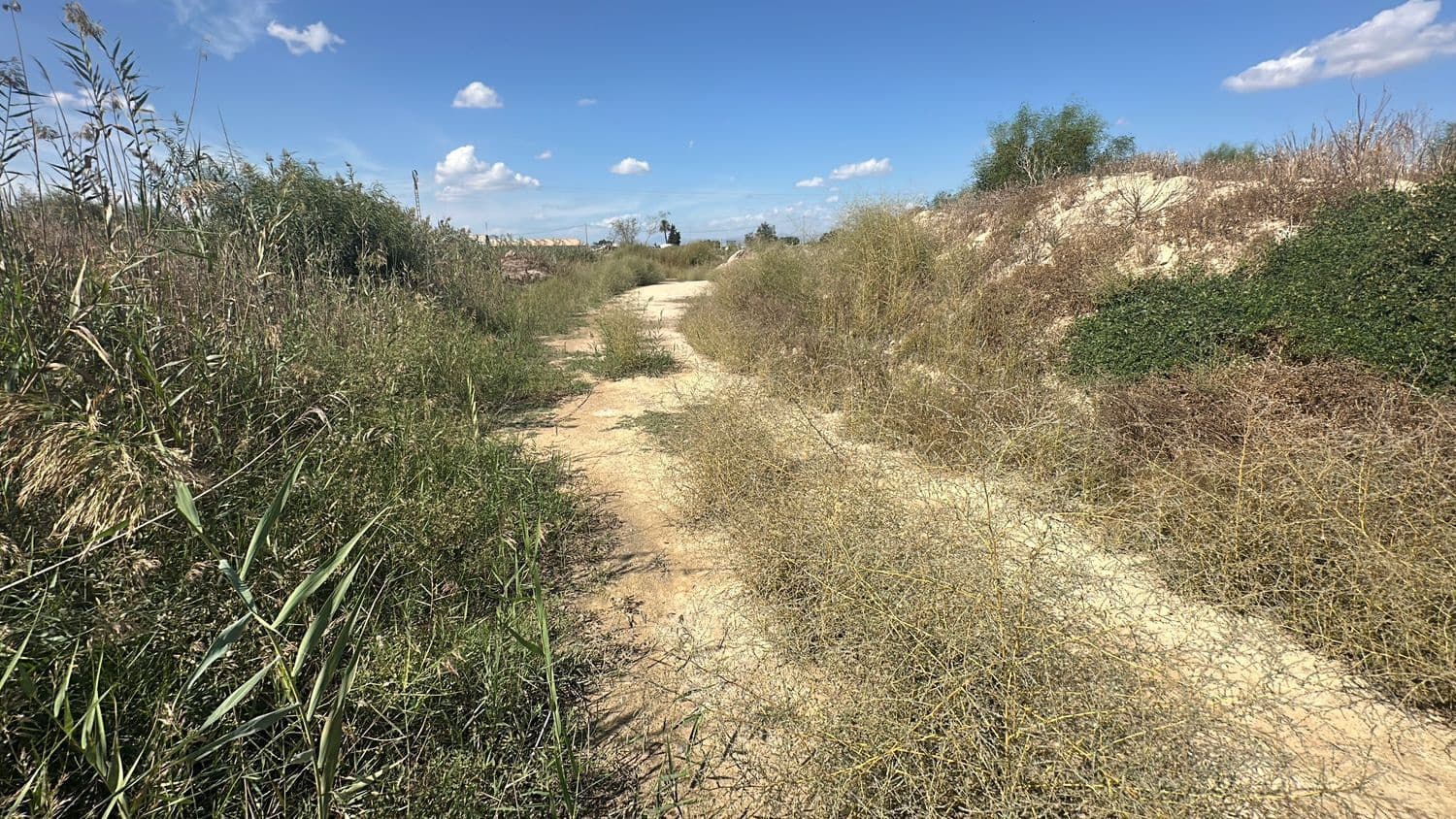 Ubebygd land til salgs i Alicante by - € 79 000 (Ref: 10141495)