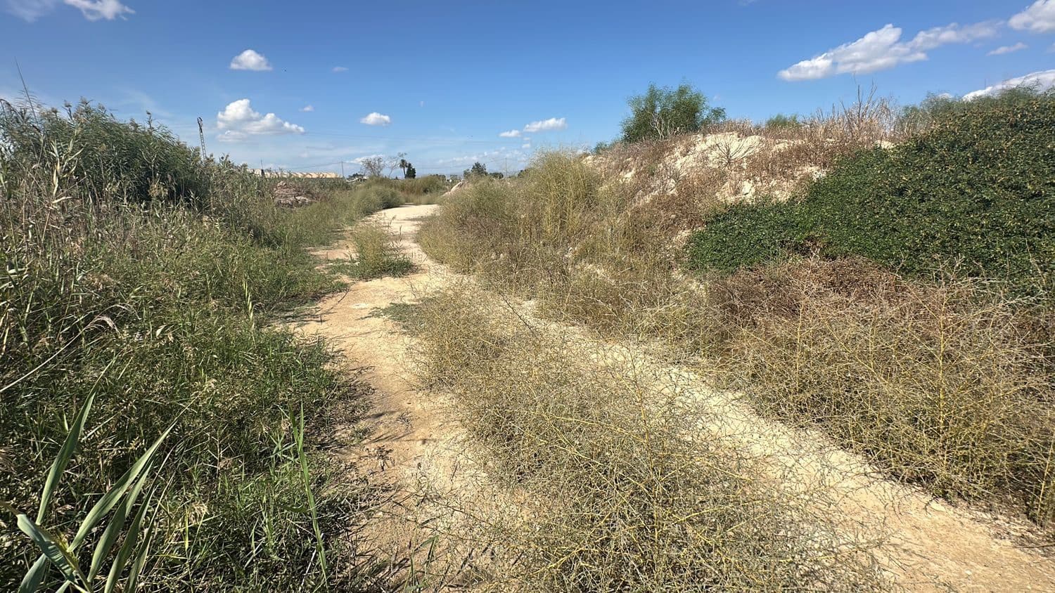 Ubebygd land til salgs i Alicante by - € 79 000 (Ref: 10141495)