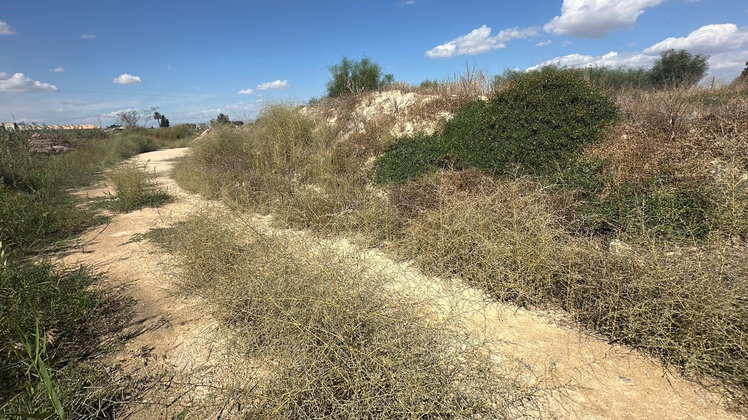 Ubebygd land til salgs i Alicante by - € 79 000 (Ref: 10141495)