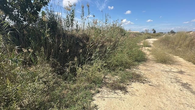Ubebygd land til salgs i Alicante by - € 79 000 (Ref: 10141495)