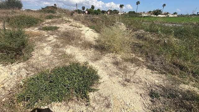 Ubebygd land til salgs i Alicante by - € 79 000 (Ref: 10141495)