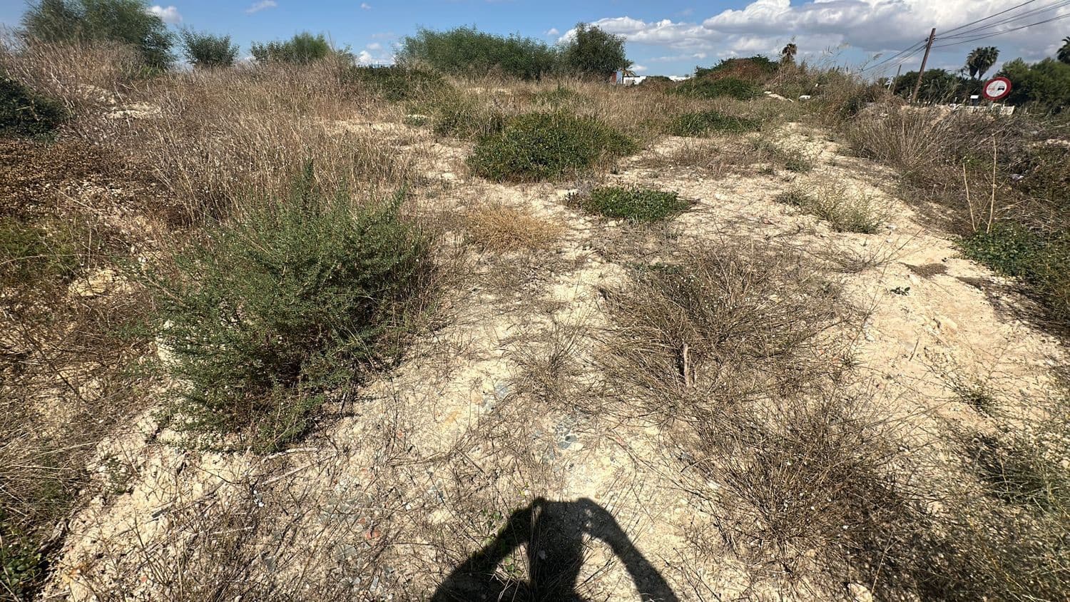 Ubebygd land til salgs i Alicante by - € 79 000 (Ref: 10141495)