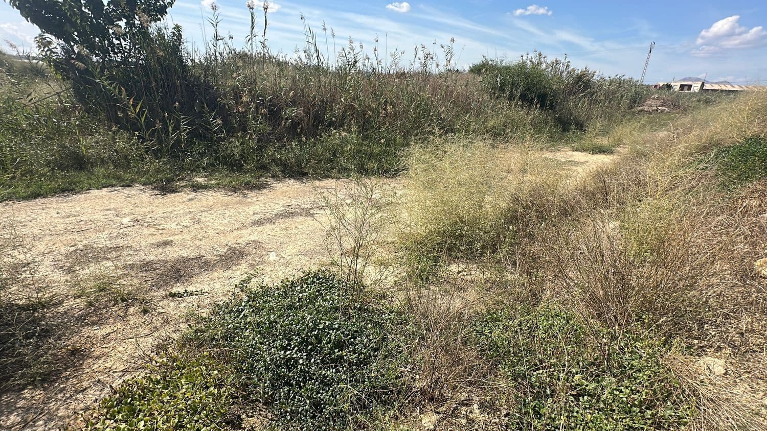 Ubebygd land til salgs i Alicante by - € 79 000 (Ref: 10141495)