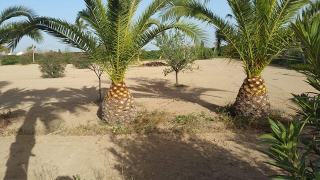 4 bedroom Villa for sale in Molins - Campaneta - San Bartolomé, Orihuela with pool garage - € 670,000 (Ref: 3384173)