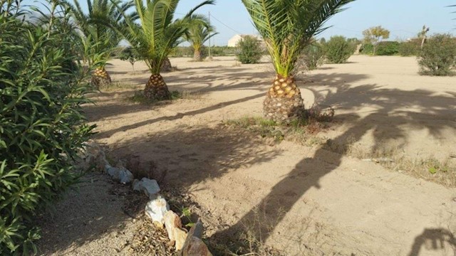 4 bedroom Villa for sale in Molins - Campaneta - San Bartolomé, Orihuela with pool garage - € 670,000 (Ref: 3384173)