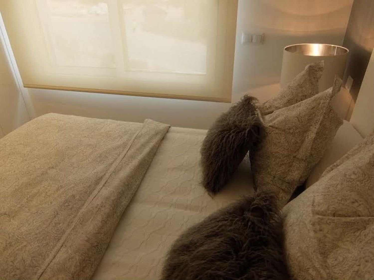 3 makuuhuone Huoneisto myytävänä paikassa Las Colinas Golf mukana uima-altaan 
autotalli - 390 000 € (Ref: 3738384)