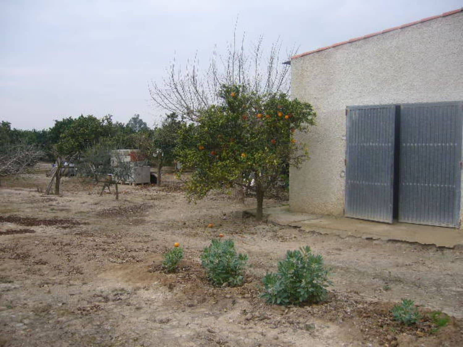 1 soveværelse Finca/Landehus til salg i Dolores med garage - € 180.000 (Ref: 3738400)