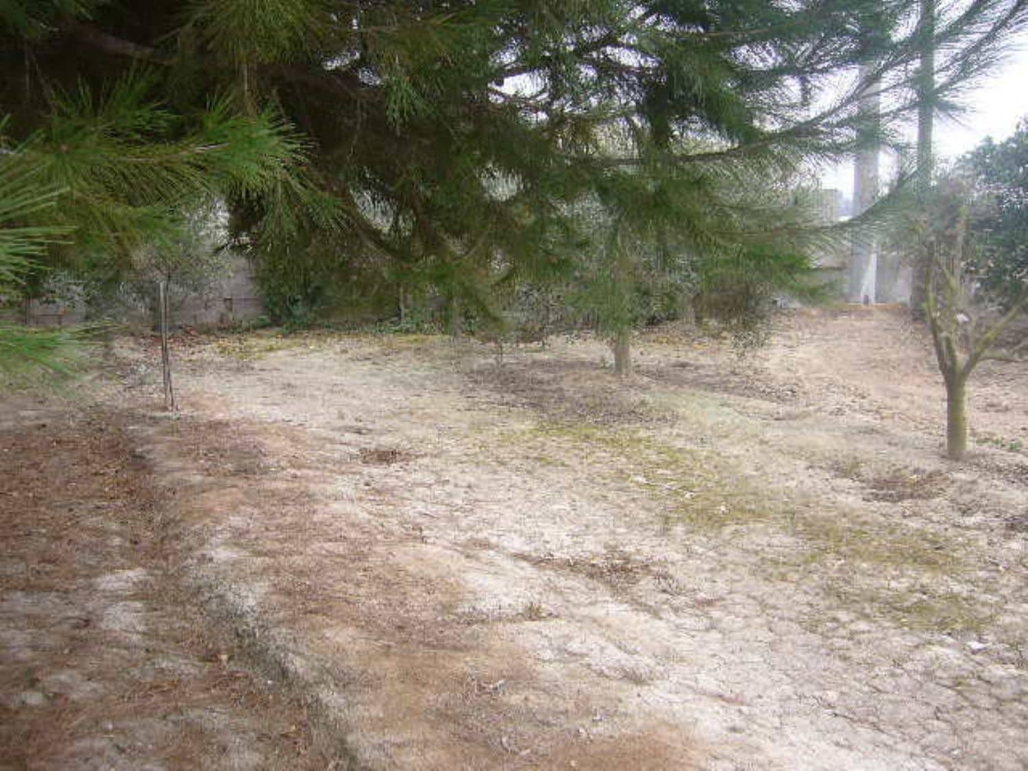 1 soveværelse Finca/Landehus til salg i Dolores med garage - € 180.000 (Ref: 3738400)