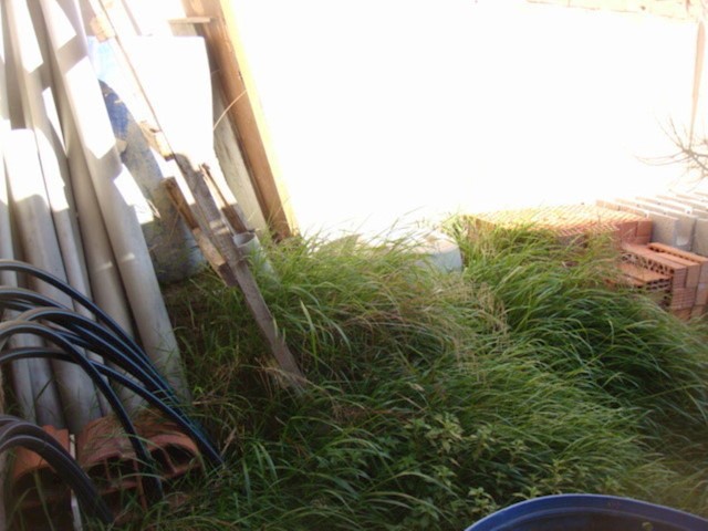 1 bedroom Finca/Country House for sale in Rafal - € 59,000 (Ref: 3738422)