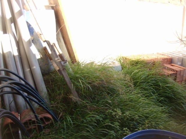 Maison de Ville à vendre à Rafal - 59 000 € (Ref: 3738422)