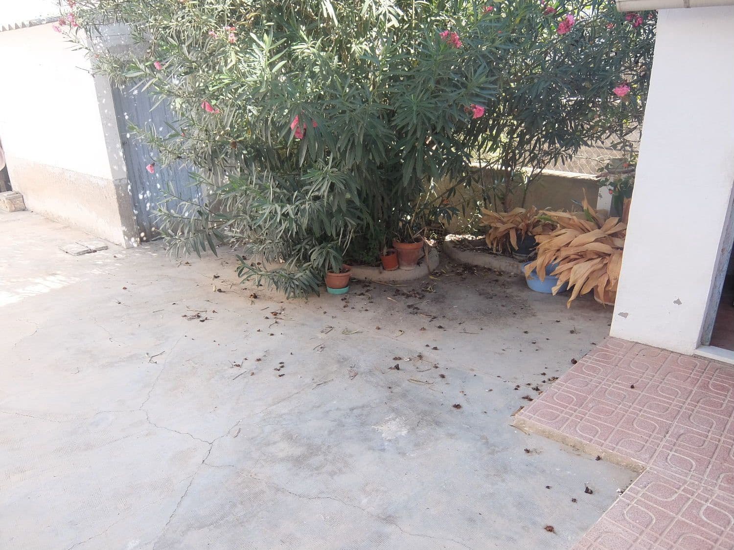 3 soveværelse Finca/Landehus til salg i Orihuela - € 185.000 (Ref: 3738452)