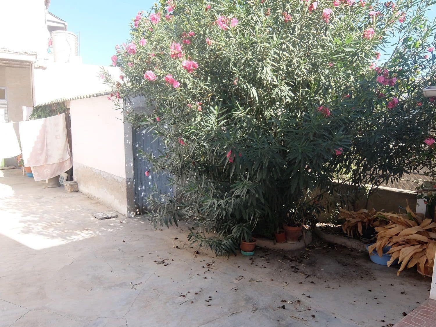 3 soveværelse Finca/Landehus til salg i Orihuela - € 185.000 (Ref: 3738452)