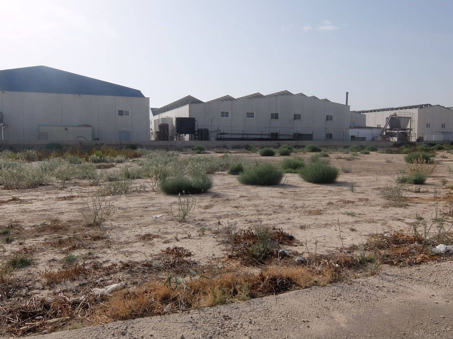 Ubebygd land til salgs i Almoradi - € 120 000 (Ref: 3738463)