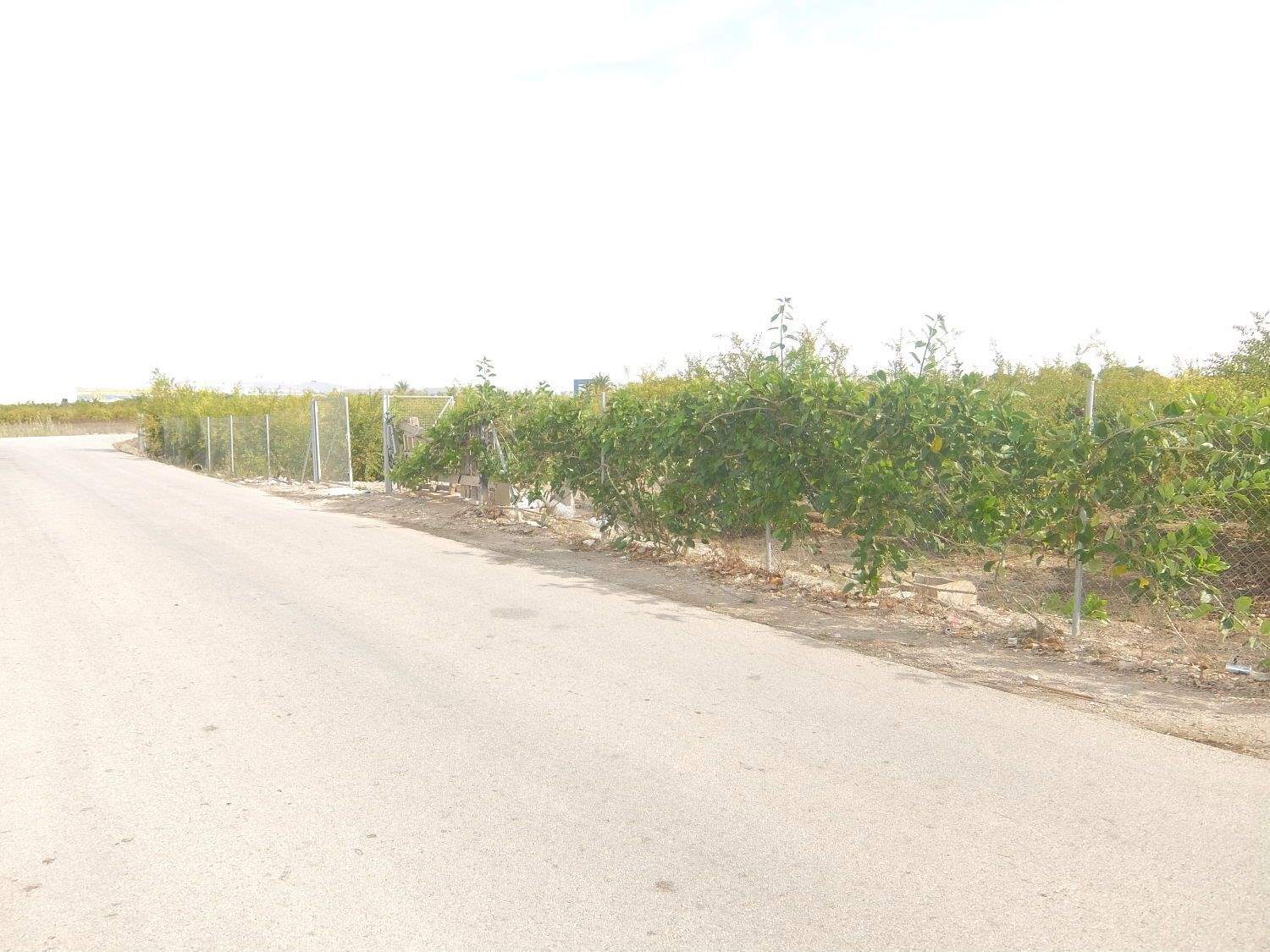 4 soverom Villa til salgs i Granja de Rocamora med garasje - € 230 000 (Ref: 3738484)