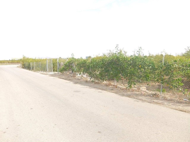 4 bedroom Villa for sale in Granja de Rocamora with garage - € 230,000 (Ref: 3738484)