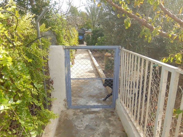 4 bedroom Villa for sale in Granja de Rocamora with garage - € 230,000 (Ref: 3738484)