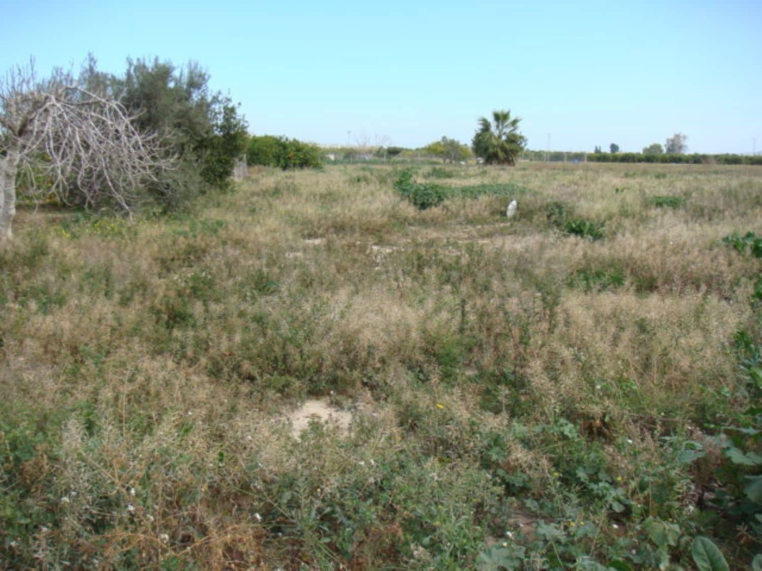 Grunde uden byggetilladelser til salg i Rafal - € 39.000 (Ref: 4072363)