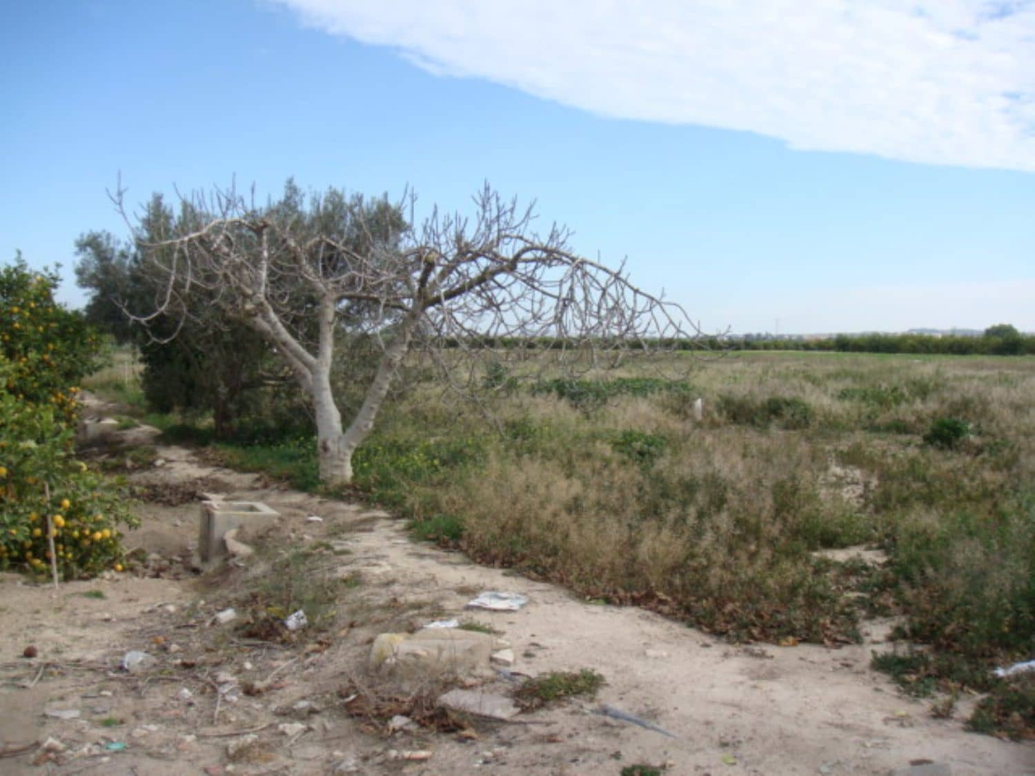 Grunde uden byggetilladelser til salg i Rafal - € 39.000 (Ref: 4072363)