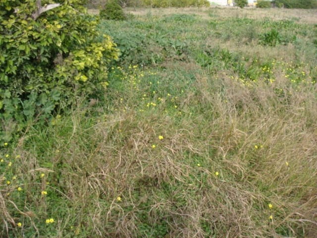 Grond te koop in Rafal - € 39.000 (Ref: 4072363)