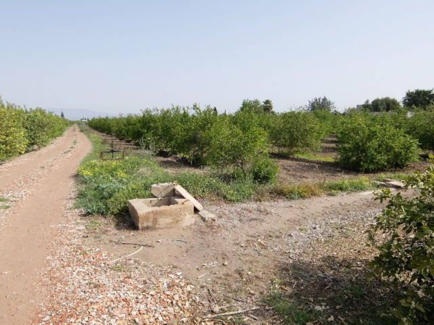 Grunde uden byggetilladelser til salg i Benejuzar - € 49.000 (Ref: 4072365)