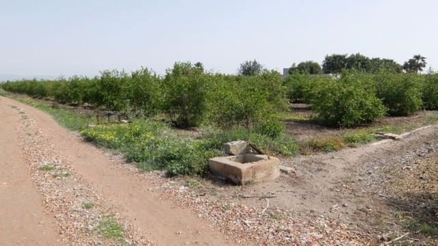 Grond te koop in Benejúzar - € 49.000 (Ref: 4072365)