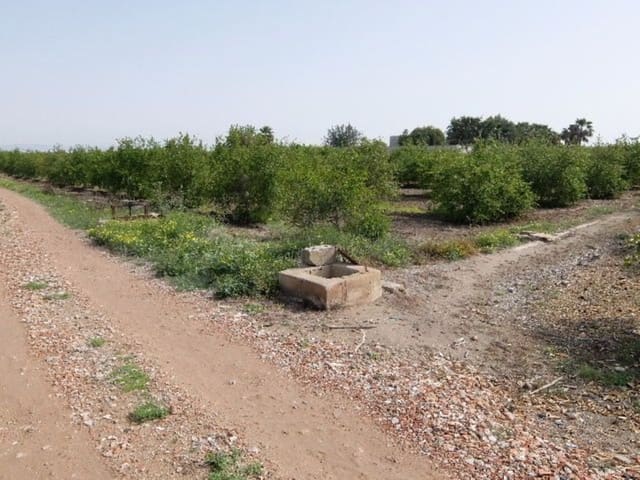 Grond te koop in Benejúzar - € 49.000 (Ref: 4072365)