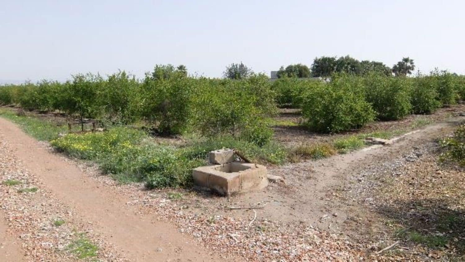 Grunde uden byggetilladelser til salg i Benejuzar - € 49.000 (Ref: 4072365)