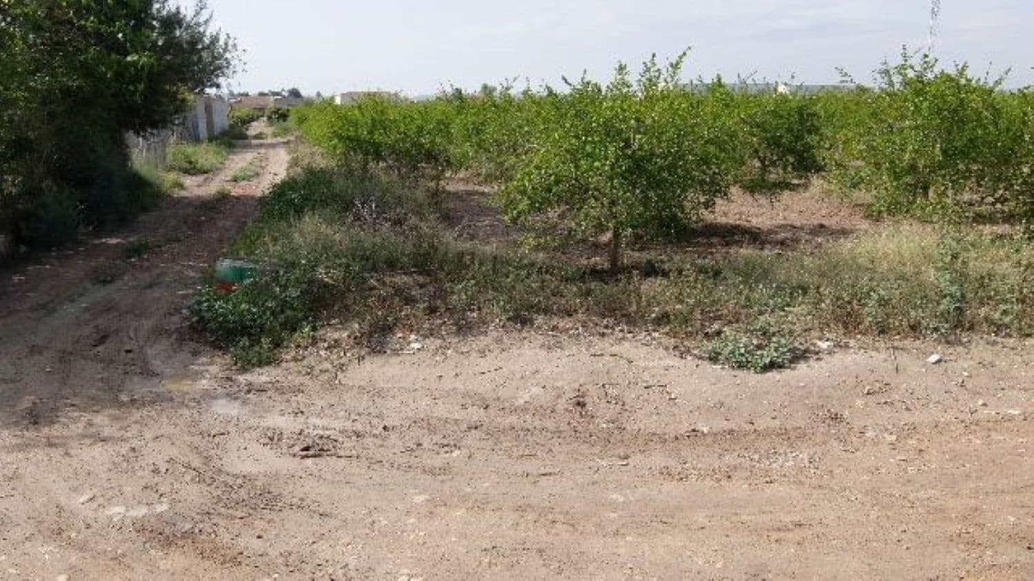 Grunde uden byggetilladelser til salg i Benejuzar - € 49.000 (Ref: 4072365)