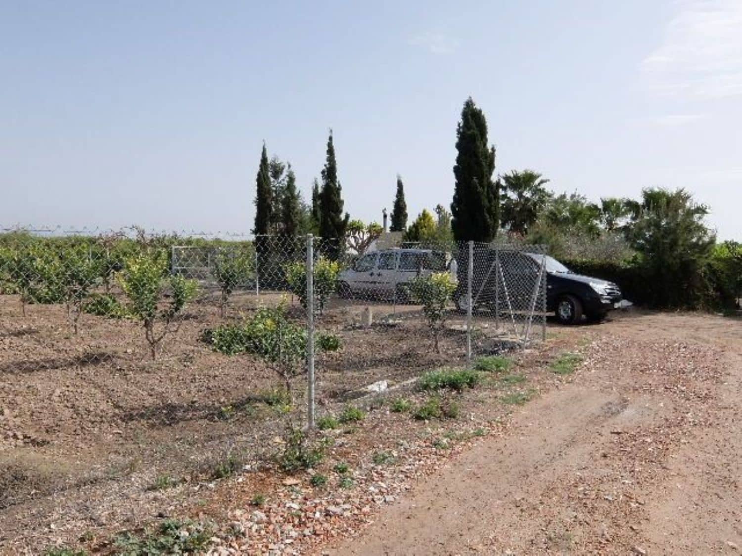 Grunde uden byggetilladelser til salg i Benejuzar - € 49.000 (Ref: 4072365)